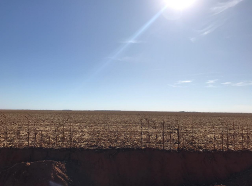 IMÓVEL RURAL C/ 10,00 ha (dez hectares) EM NOVA UBIRATÃ/MT