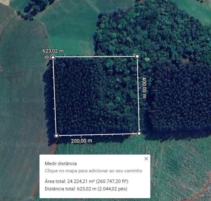 ÁREA DE TERRA RURAL C/ CULTIVO DE EUCALIPTO, FAZENDA FAXINAL DO TIGRE, C/ ÁREA DE 24.200 m²,  EM GUATAMBU/SC