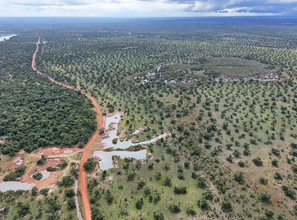 IMÓVEL RURAL, PARTE IDEAL DE 22,5% DA FAZENDA ENTRE RIOS  GLEBA A E GLEBA B, EM SÃO FELIX DO ARAGUAIA, MATO GROSSO