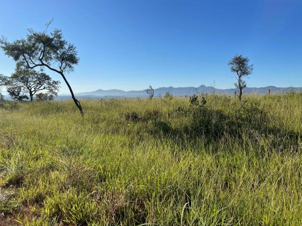 Lote 31 - terreno com a área de 360 m², n° 15 (quinze), da quadra n° 45 (quarenta e cinco), bairro estrela do sul, mateus leme/mg